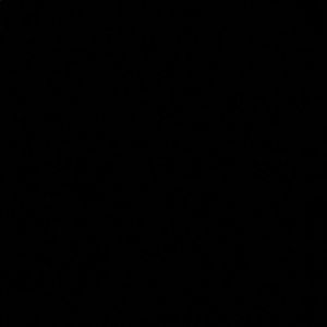 Meet your Posher, Ray